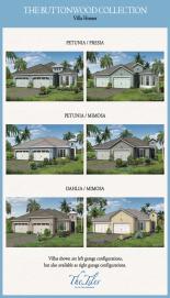 inception-app-prod/ZDY2NzI4NjQtMzNlMC00NzFkLTk1YjUtNWYwZDc3ZjdiOGQ1/content/2017/07/Buttonwood Dahlia.jpg