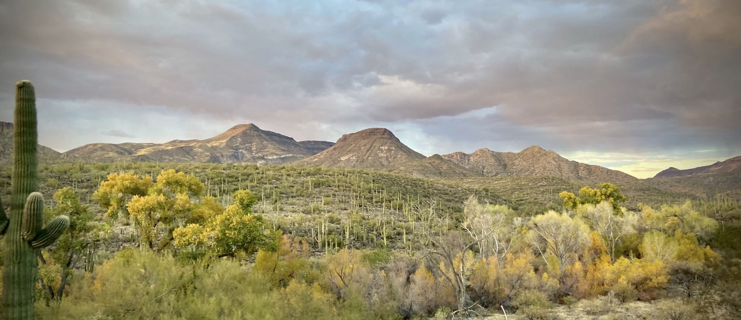 Cave Creek inception-app-prod/ZDYwMmY2N2ItMzI0My00YzgyLTlkMjUtYmE4NzZjMzdmM2Mw/content/2023/01/063369bf0e790b2bc4df289f99a7efd8df9df719.jpg