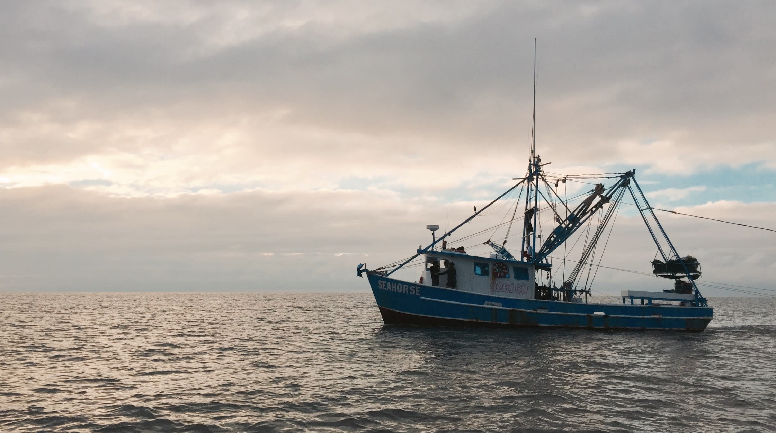 BAYOU LA BATRE inception-app-prod/ZDc1OTkzZjctZmJkMC00NWY0LWJlY2UtMmZkY2VkYzA1MDEz/content/2024/01/097b40a05ad7f93d50f2e03f38a030c724963b18.jpg