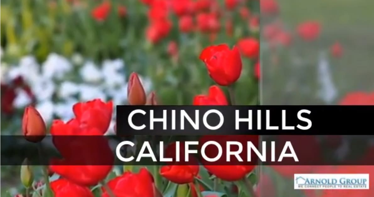 Housing Update for February 2020 - Chino Hills, CA. inception-app-prod/ZDlkMmIwM2ItNGVkMy00MzUzLTg0MzYtZmYxZWMxNWE5OTk3/content/2020/02/chnohills.png