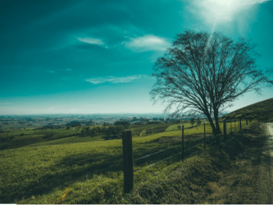 What can one do on this property? Considering land characteristics, zoning, and restrictions inception-app-prod/ZGFhMzFmZWQtOGZjMi00OGYzLWJmNDEtMmU4MmM1YmZlOGFj/content/2022/09/83476f5ba1b1b59c799809146581ad47d7b7210d.png