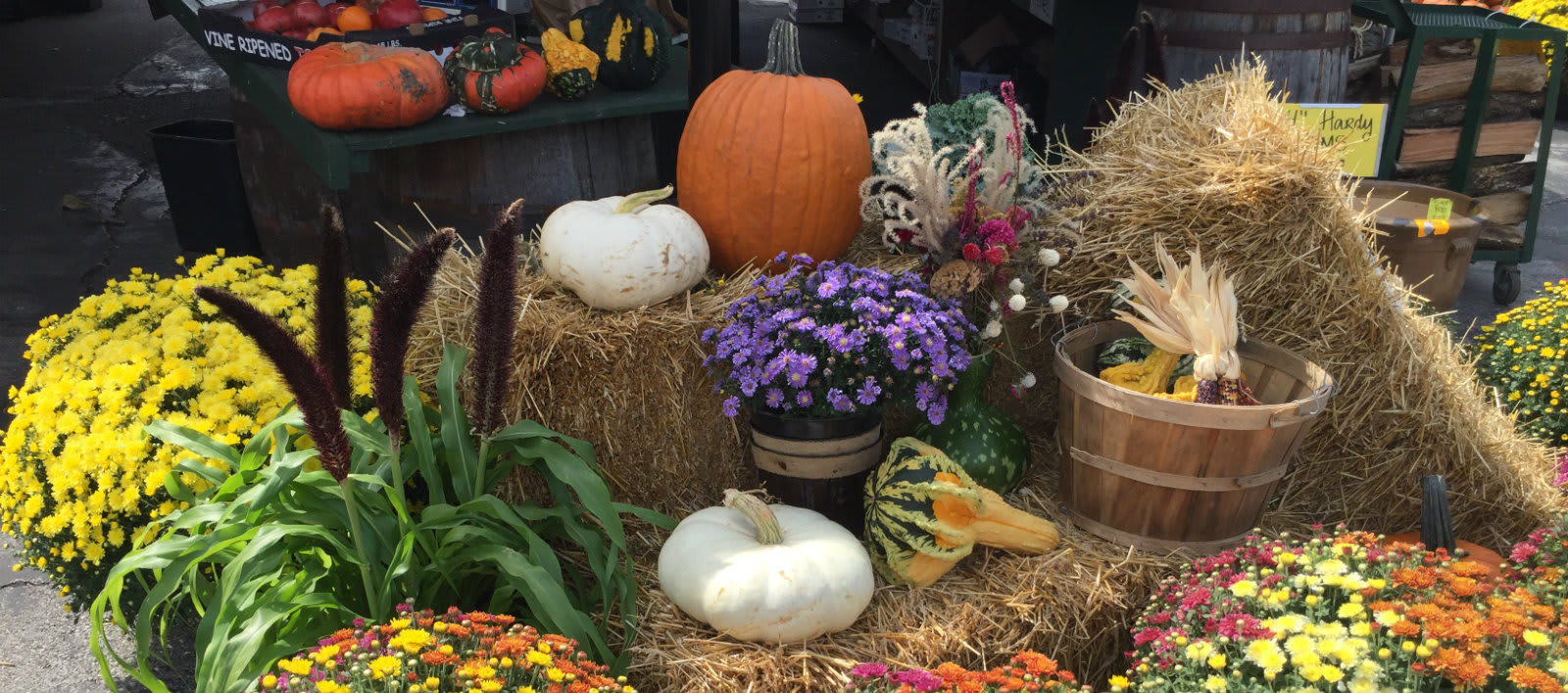 inception-app-prod/ZGM0MGI1Y2UtMmFlYS00NmVjLTk2ZjMtMjA3Y2Y5OGRjOTdk/content/2017/03/kirwood placester.jpg