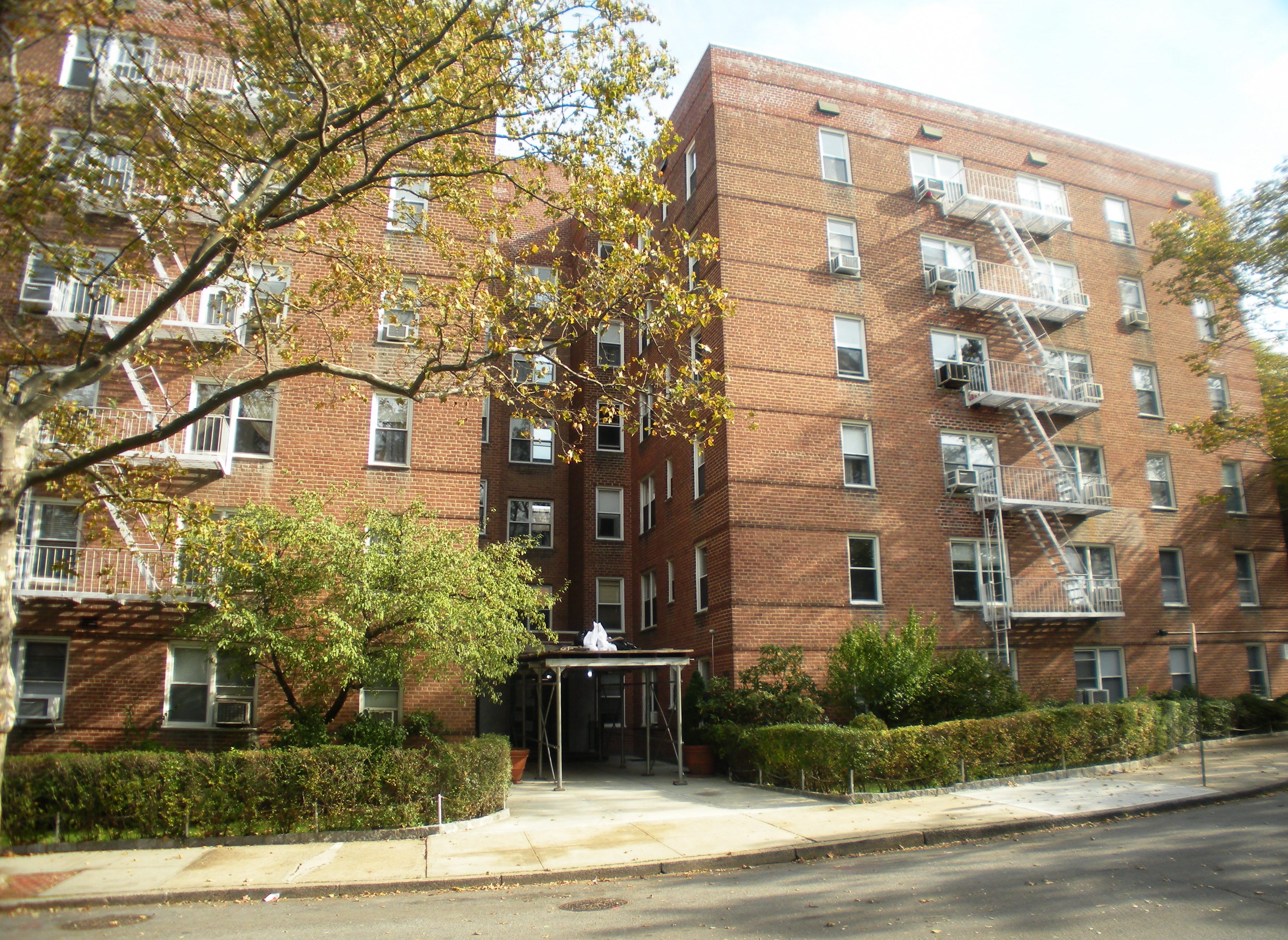 The Curious Co-op of Elizabeth Wilson inception-app-prod/ZGM3ZDg5ODQtZWRjZC00ZGRhLWE3NjEtZGNjZTgxNzhmMjE4/content/2018/01/O_84C8ACD88163CE26EC5F10D3882BF837_330035_1_1.jpg