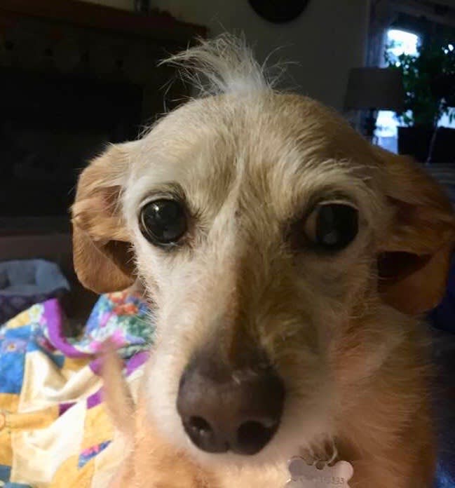 inception-app-prod/ZGZkNzQ1ZTMtMzZlOC00YTI3LTgxNzMtMjIzNWUyNzBlNjVm/content/2018/07/I%27m there for you%21.jpg