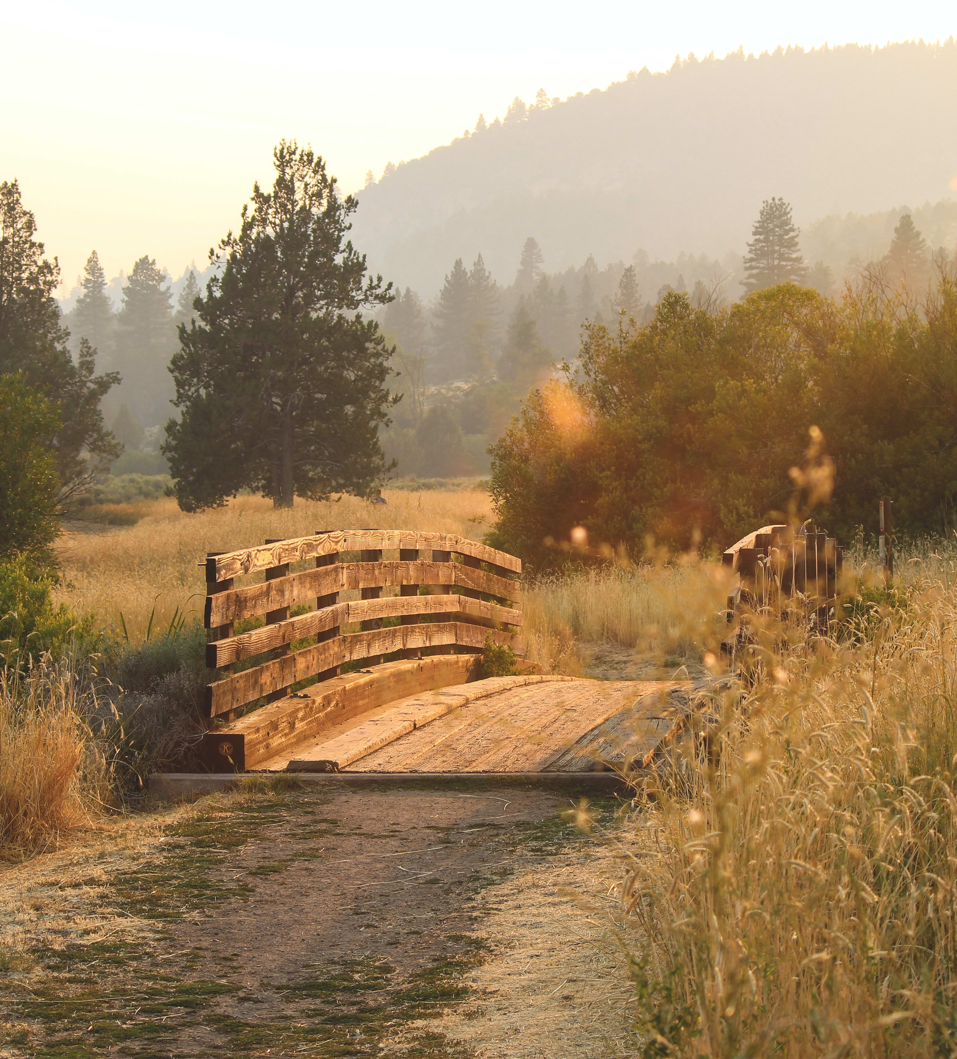 WHAT'S YOUR HOME WORTH? inception-app-prod/ZTBjMjU3YTYtM2E4OS00YmI0LWJmNzYtMzRjYWQyMGY5NWUx/content/2021/09/deanna-lewis-oJrMKGAIsx4-unsplash.jpg