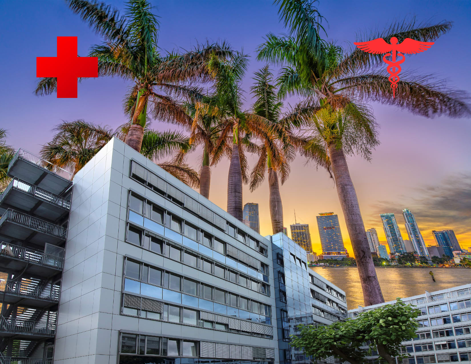 Critical Decisions Ahead: The Impact of Steward Health's Hospital Sales in South Florida inception-app-prod/ZTBmODhmM2QtOTIwNy00NzcwLWFmYzMtNjM2ZjA0MmMzYjg1/content/2024/08/fffad9afbbf6f5be83f9e87aa0c93ac1ec9c5da3.png