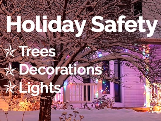 inception-app-prod/ZTBmZjE3MmQtYjI1Zi00ZWYyLWE2MGQtYTM4NjkwYTdlODUx/content/2019/12/holiday-safety-thumb.jpg