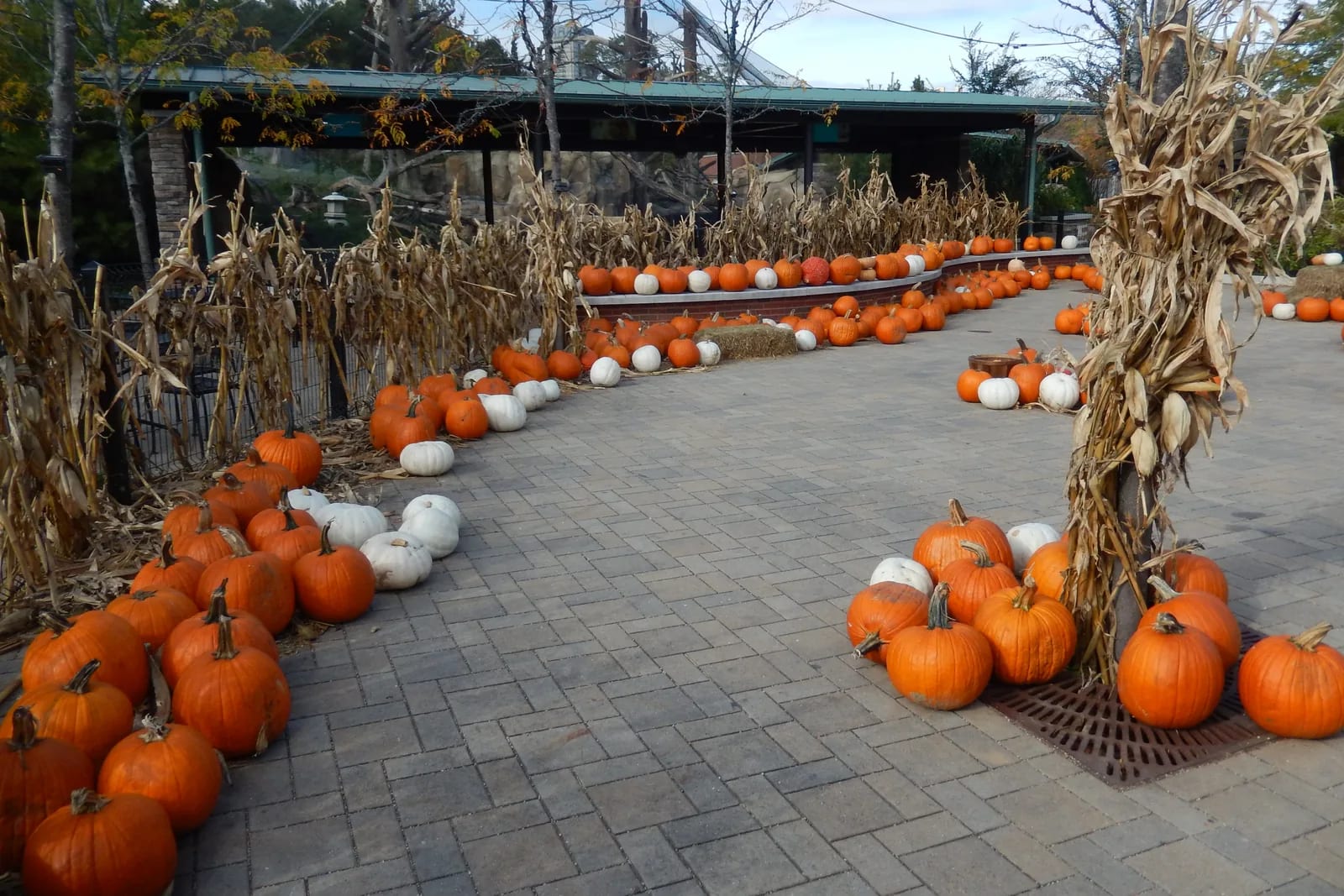 Halloween on Chicago's North Side 2026: Haunted Halsted, Lincoln Square Trick-or-Treat & Fall Walks inception-app-prod/ZTE0ZDg1NDItM2E3Zi00NTMwLTllYTgtYmM0YzAzMWZkNDFj/content/2026/10/8ca9be33e0bb7f35d0c071b8cae54861ca95c50c.webp
