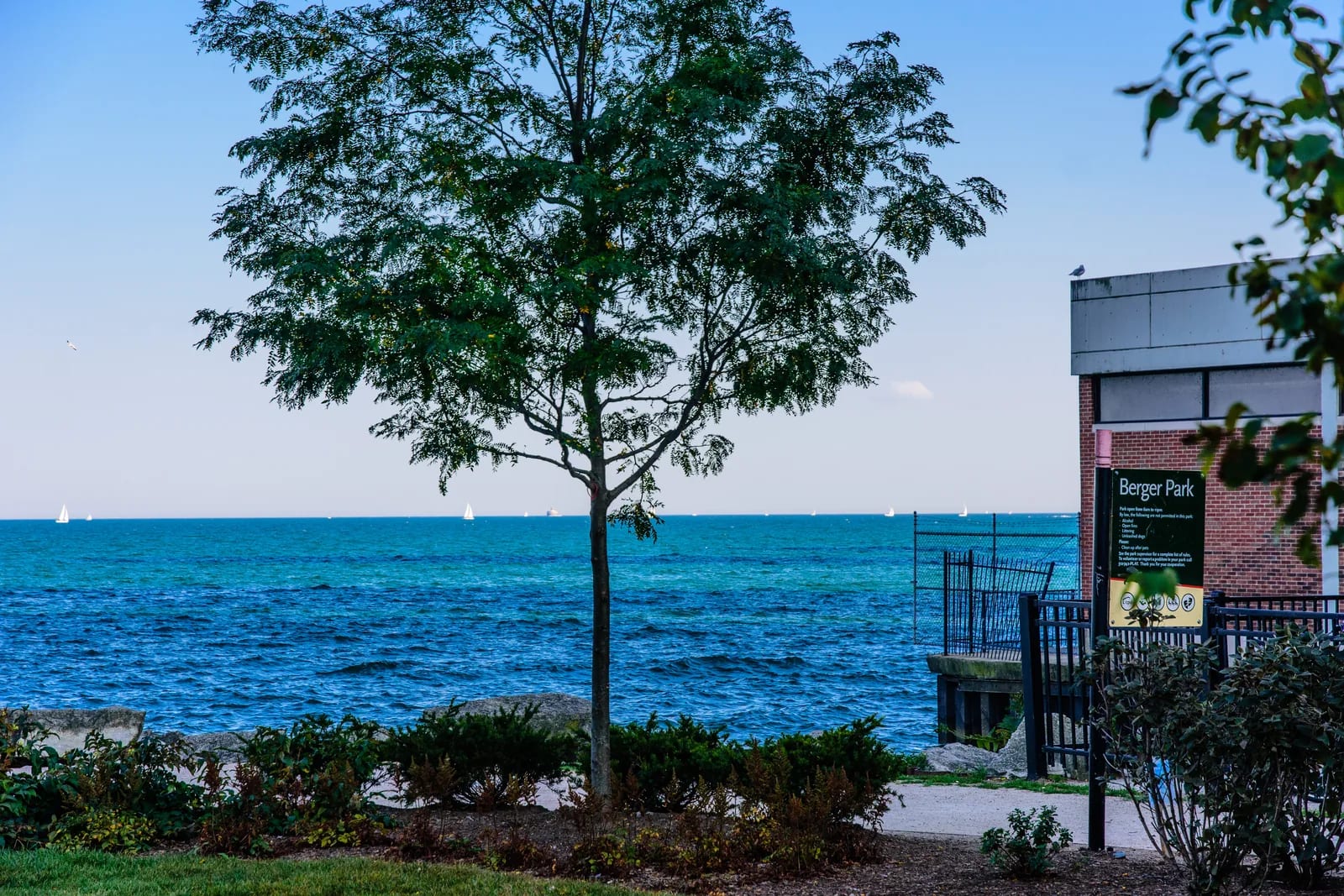 Lawn and trees at Berger Park on Lake Michigan with sailboats offshore in Edgewater, Chicago