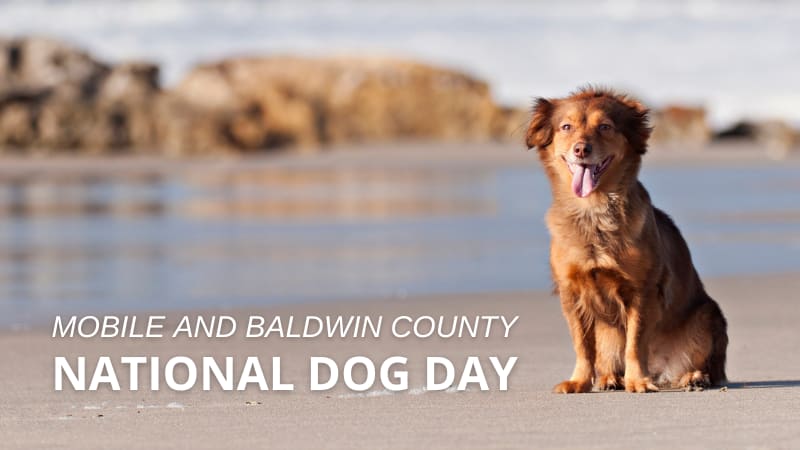Alabama Gulf Coast's Dog-Friendly Charm: Celebrating Dog Day inception-app-prod/ZTE2Yjk4NmUtNWVmMi00MmIxLTllNjQtMjhlYmM1NjY5NjRl/content/2023/08/007719488daf1e0c1750954263a28e2e22e1ddd7.png