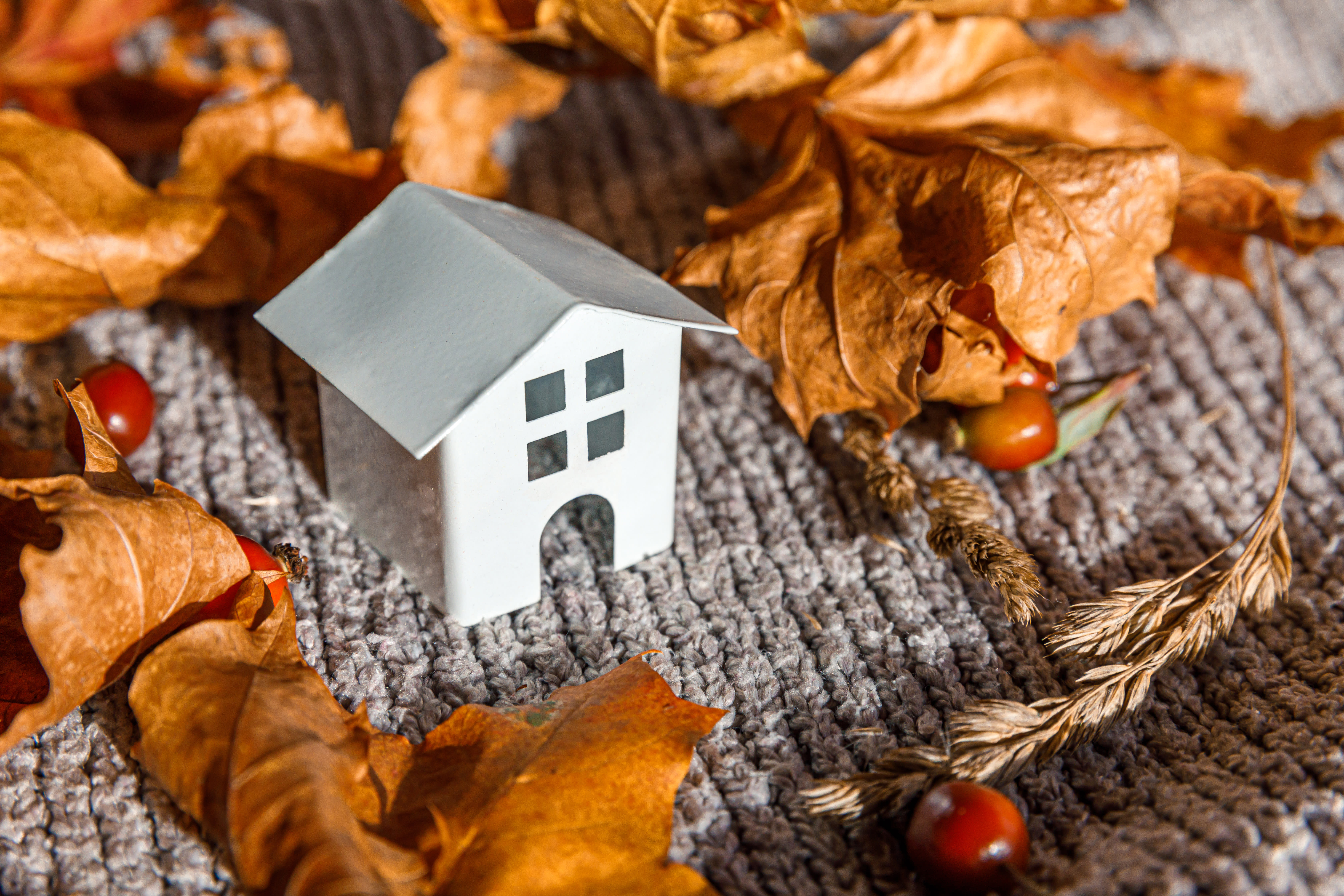 Gathering Spaces: Choosing Your Dream Home Near Thanksgiving Celebrations inception-app-prod/ZTE2Yjk4NmUtNWVmMi00MmIxLTllNjQtMjhlYmM1NjY5NjRl/content/2023/11/7b39b686781a8c0aacc150079c25656969c173ef.jpg