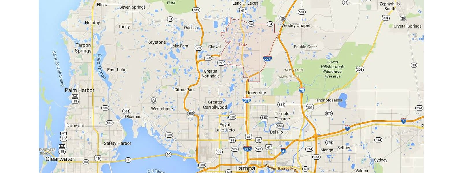 inception-app-prod/ZTM3NzMxYzAtYjU2ZC00NDU5LTgyMTMtZmRiYzVmMDg3MGE3/content/2015/10/Lutz Map 2.JPG