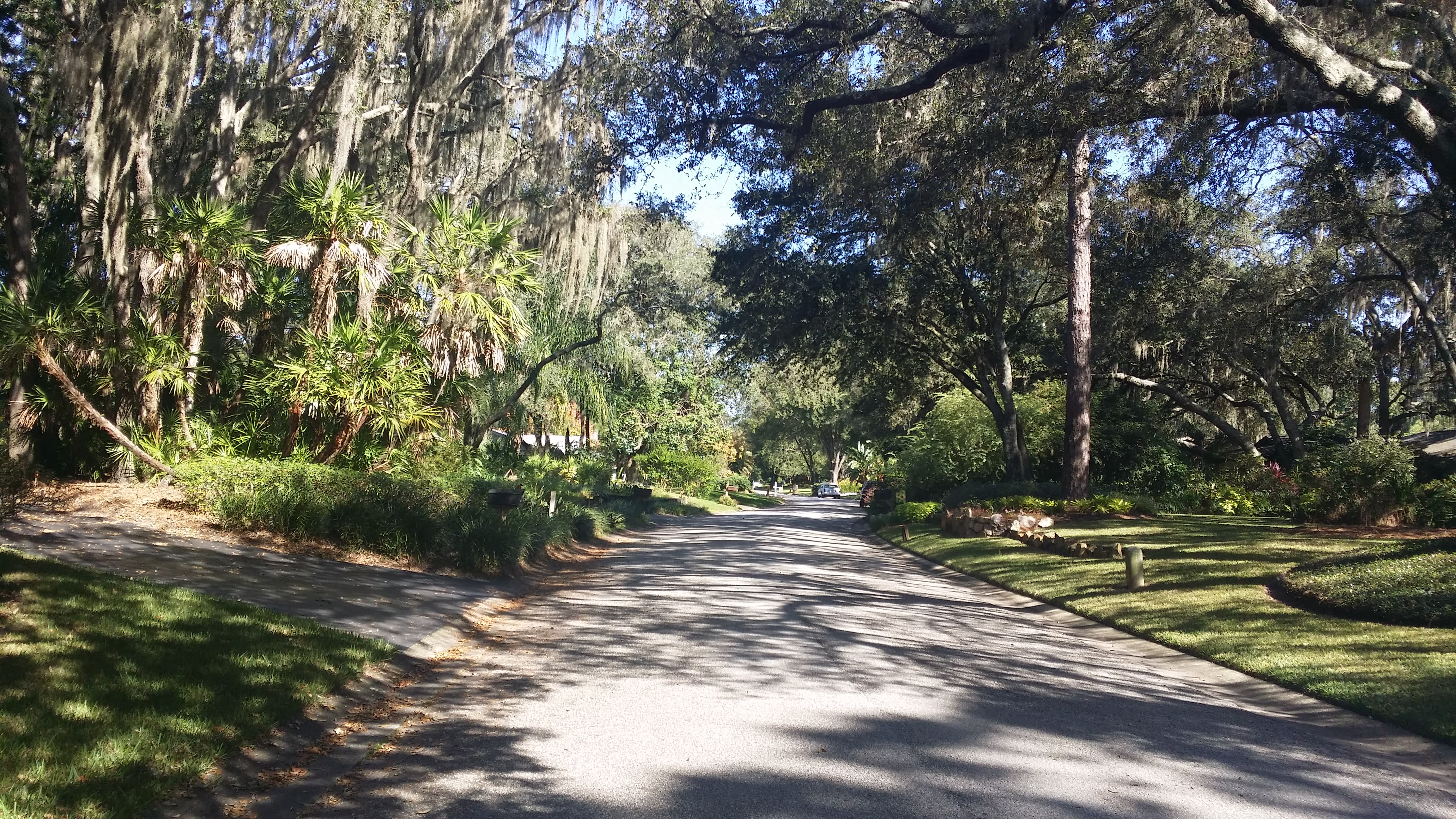 Lutz inception-app-prod/ZTM3NzMxYzAtYjU2ZC00NDU5LTgyMTMtZmRiYzVmMDg3MGE3%2Fcontent%2F2015%2F10%2FLutz Neighborhood.jpg