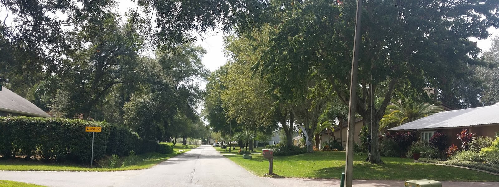Lake Padgett Estates inception-app-prod/ZTM3NzMxYzAtYjU2ZC00NDU5LTgyMTMtZmRiYzVmMDg3MGE3/content/2015/12/Lake Padgett street 1.jpg
