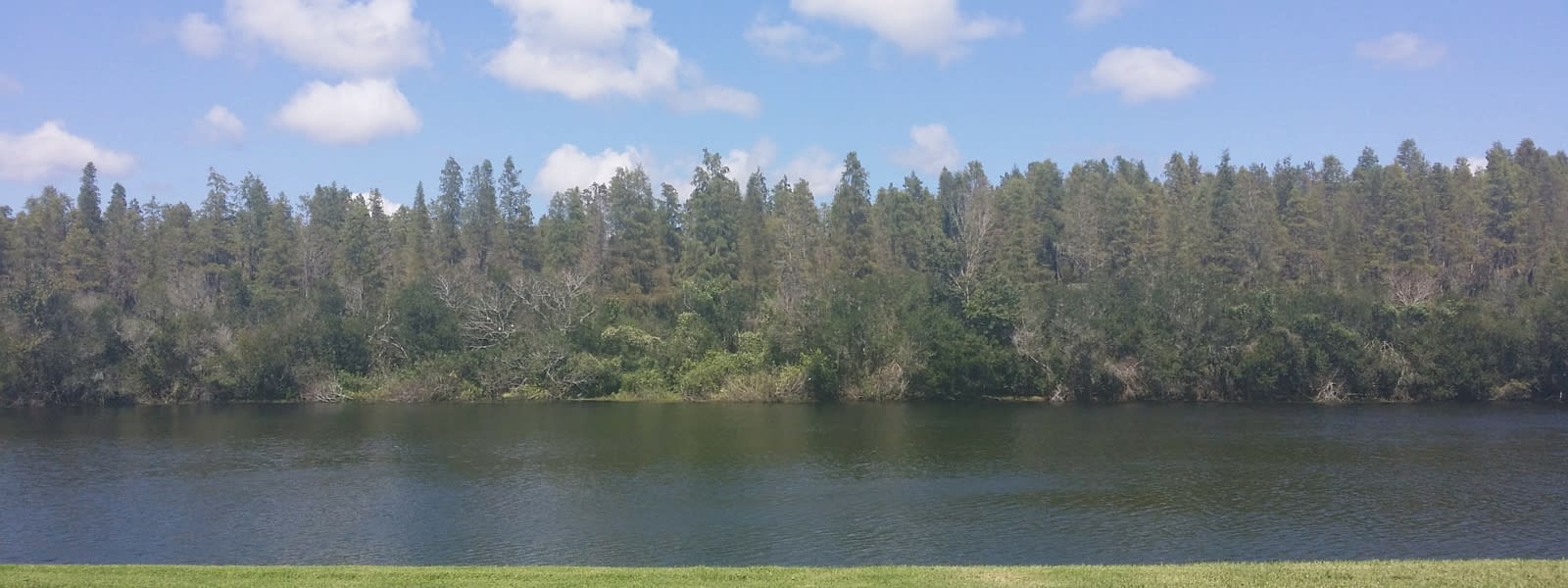 VillaRosa inception-app-prod/ZTM3NzMxYzAtYjU2ZC00NDU5LTgyMTMtZmRiYzVmMDg3MGE3/content/2015/12/villarosa lake1-2.jpg