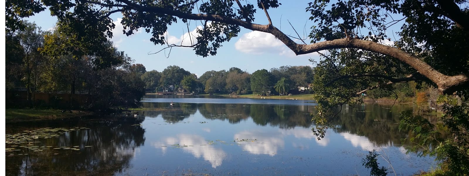 inception-app-prod/ZTM3NzMxYzAtYjU2ZC00NDU5LTgyMTMtZmRiYzVmMDg3MGE3/content/2016/01/Forest Hills Eckles Lake lg.jpg