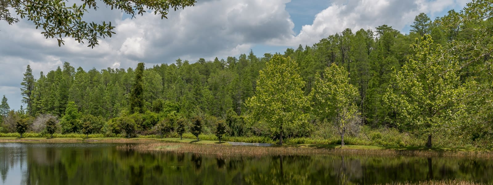 inception-app-prod/ZTM3NzMxYzAtYjU2ZC00NDU5LTgyMTMtZmRiYzVmMDg3MGE3/content/2016/05/Ballantrae Lake1 wide.jpg