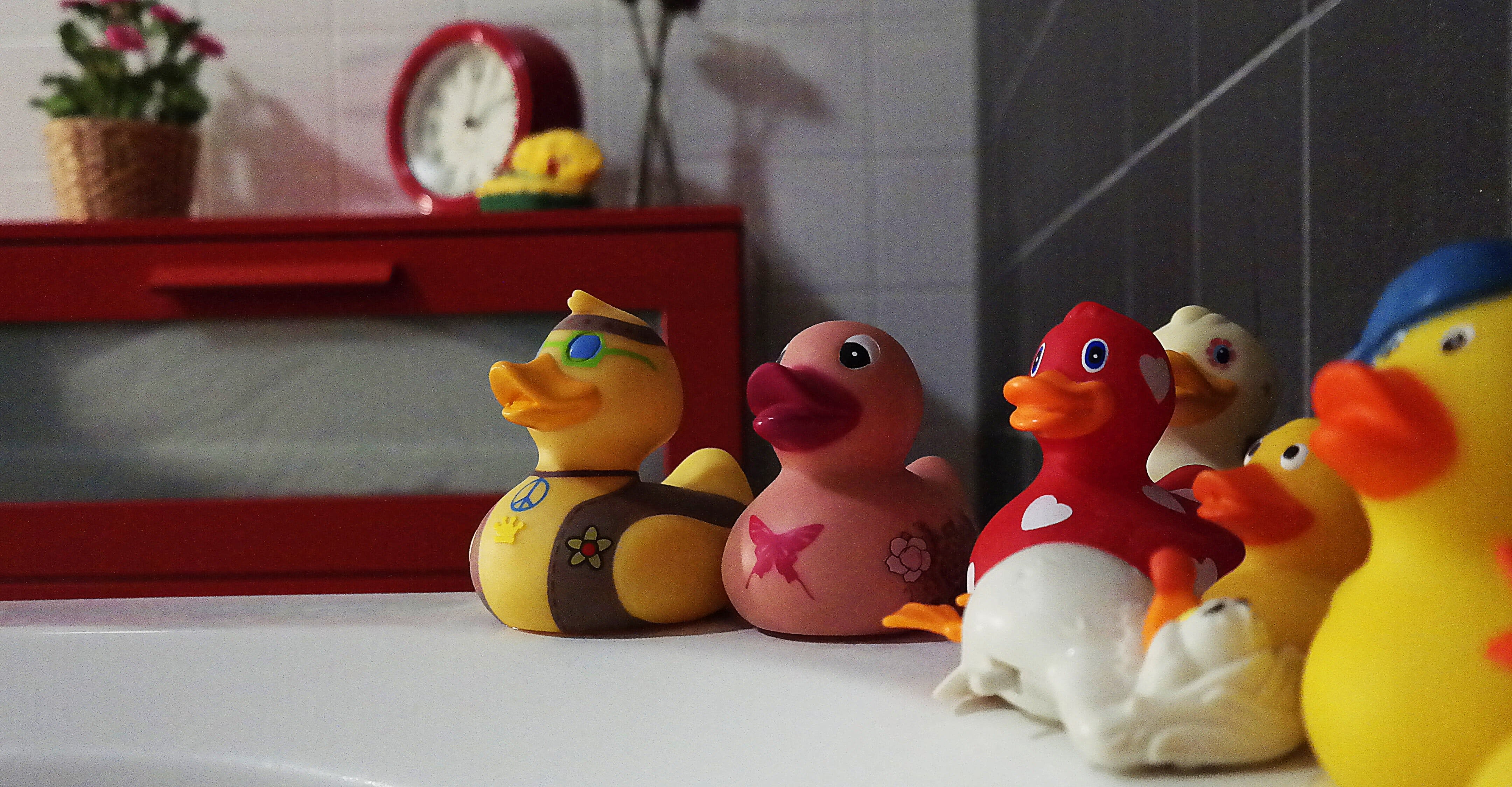 inception-app-prod/ZTQ4OWViZjUtOWM4Mi00MTJlLTgwMWUtMjYzNDFhMTdmMWVm/content/2018/08/bathroom ducks.jpg