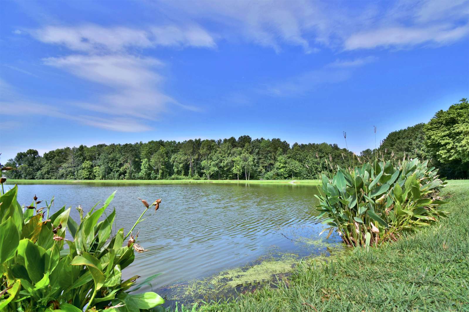 Goose Creek Goose Creek, SC