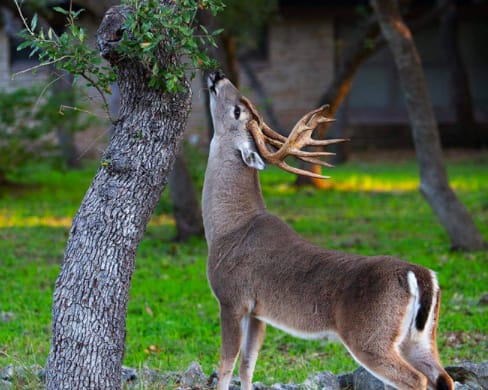 inception-app-prod/ZTgwNGY3YTItMDU2NS00YzlkLThlOGEtZjcxNTI5YTkzODFj/content/2018/10/Screen Shot 2018-10-01 at 1.41.44 PM-2.png