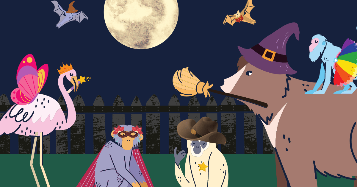 Weekend Tips: Horse Around! inception-app-prod/ZTgwNGY3YTItMDU2NS00YzlkLThlOGEtZjcxNTI5YTkzODFj/content/2020/09/new-newsletter-needs-2.png