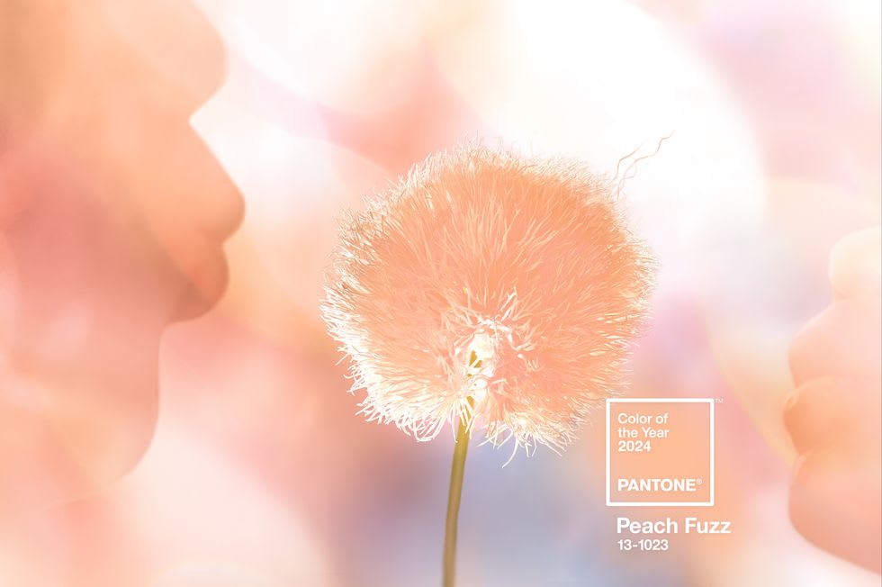 Pantone Color of the Year: Peach Fuzz inception-app-prod/ZTgwNGY3YTItMDU2NS00YzlkLThlOGEtZjcxNTI5YTkzODFj/content/2023/12/a76b203ae841e63a2e2dc04f9b9d6405426fe89c.jpg