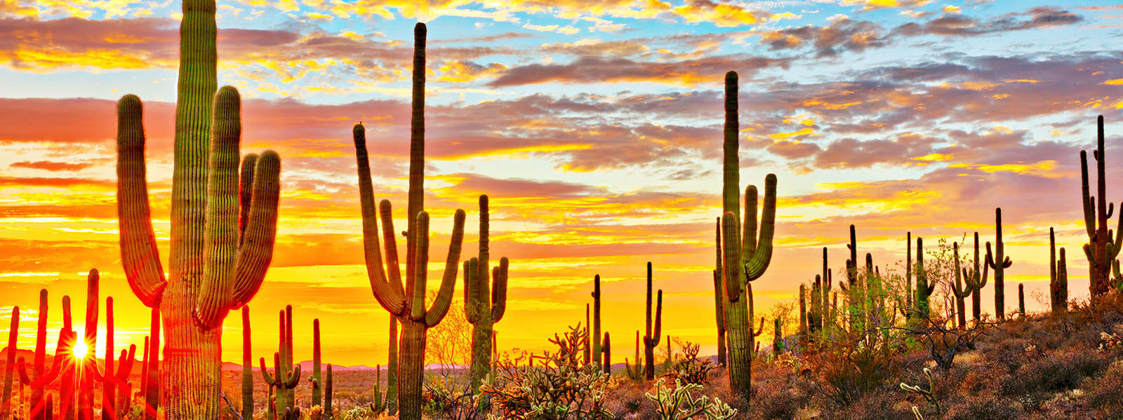 Mesa inception-app-prod/ZTk5NjhmZTAtMjQzNS00ZjIxLWIxZDEtOGEzNzg1ZjIyYjc0/content/2021/05/mesa.jpg