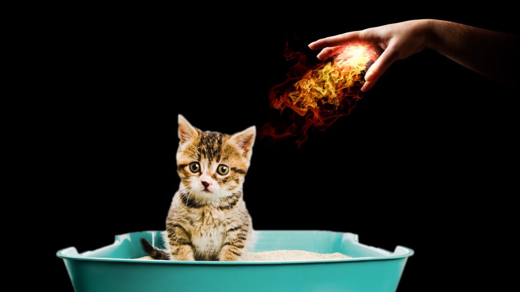 TRICKS TO BANISH BAD SMELLS FROM YOUR HOME - FOREVER inception-app-prod/ZTk5YTA3ODItNmY2OS00NGZiLTg0MjEtMDc2Y2M3NjU5ODM3/content/2016/11/banish-bad-smells2-1024x576.jpg