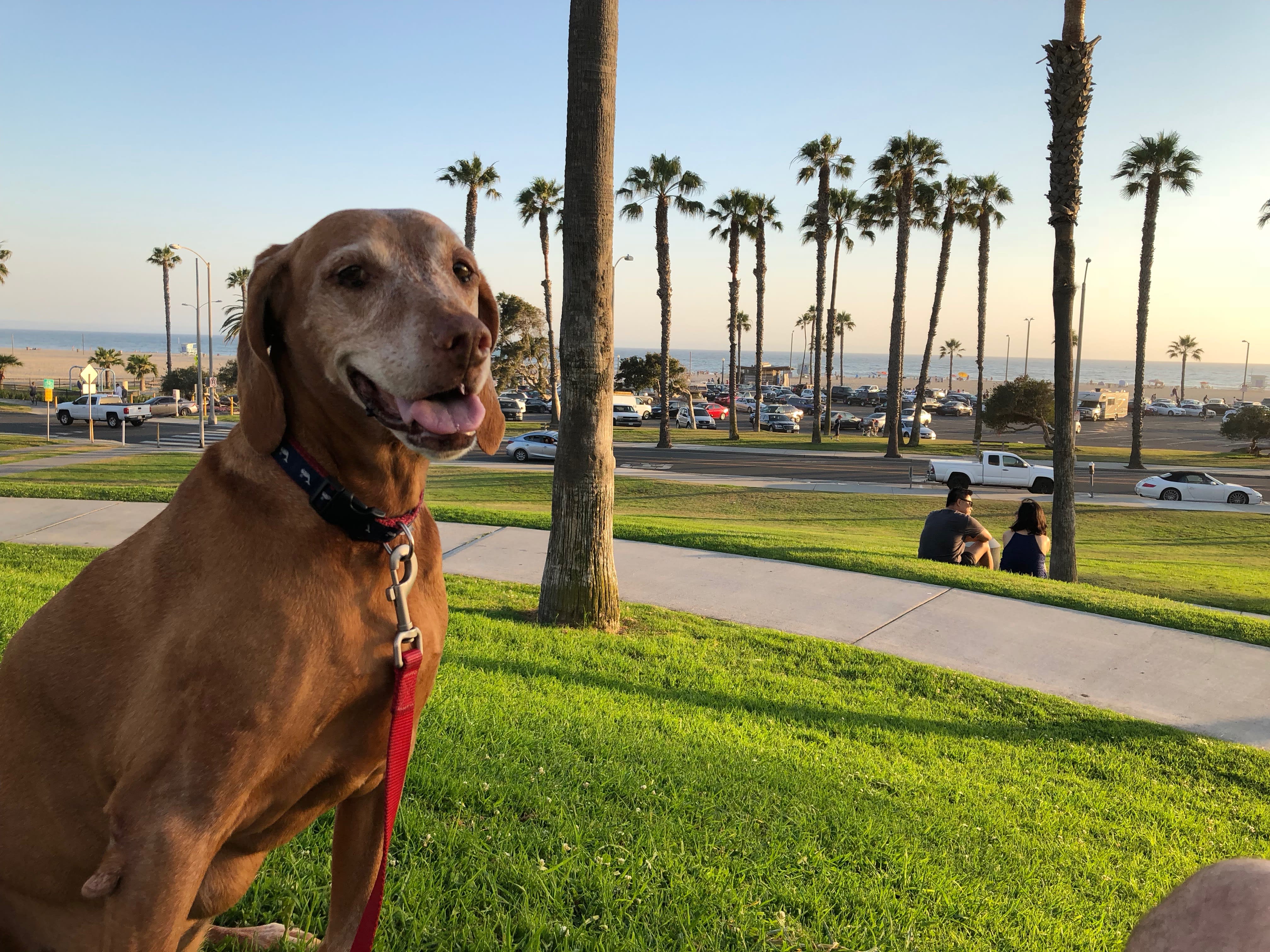 inception-app-prod/ZWFjMWFhZDItNmUwNS00MmFiLWE5ODUtOWJkMzkxYjY2MGMx/content/2018/07/FEATURED IMAGE.jpg