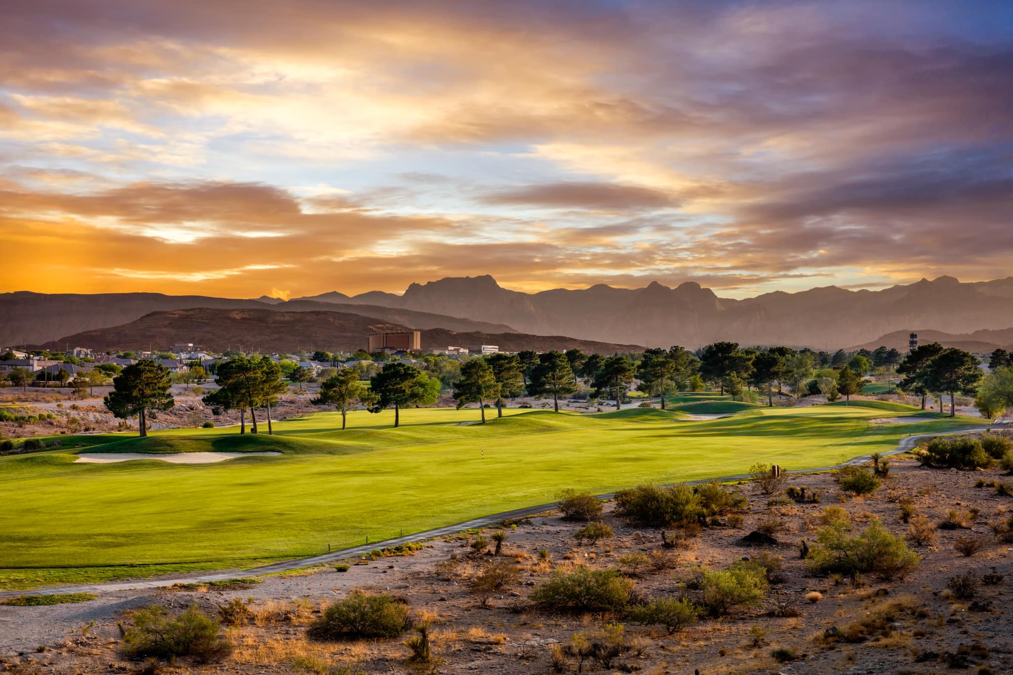 SUN CITY inception-app-prod/ZWM4YjA2NWUtNTMyZC00MjkzLTgxNGUtN2FmOTM3NDU3MjFl/content/2024/10/037dd236ea4c35d6fa8c16e63be287cc38e5bbdb.jpeg