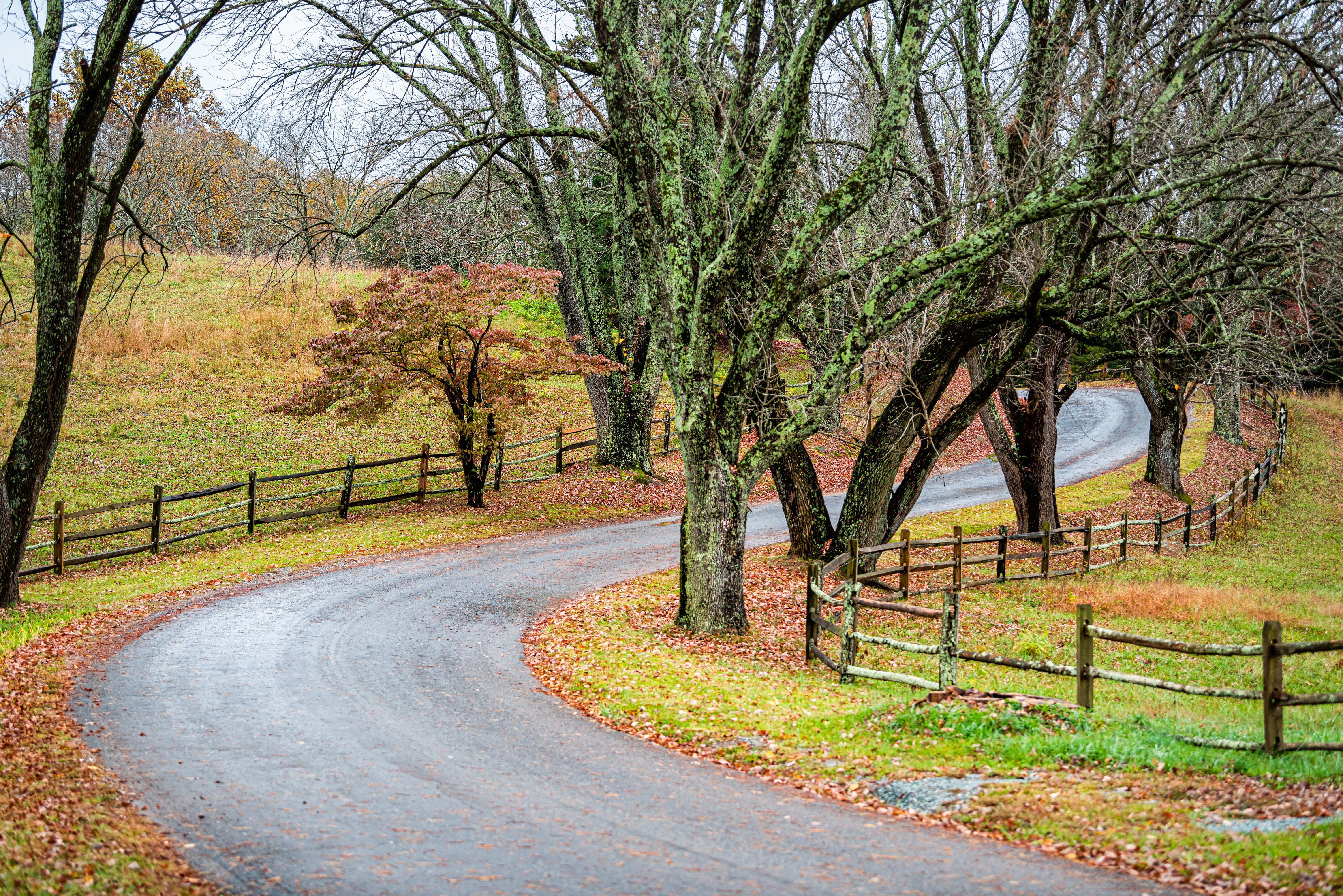 APPOMATTOX COUNTY inception-app-prod/ZWRhM2ZmNDAtOGVhZS00ZjMxLTg2ODMtNjRiMTIwMTM2ZGU4/content/2022/12/3431fc5d82b329696425e362e18b25b3017582fd.jpg