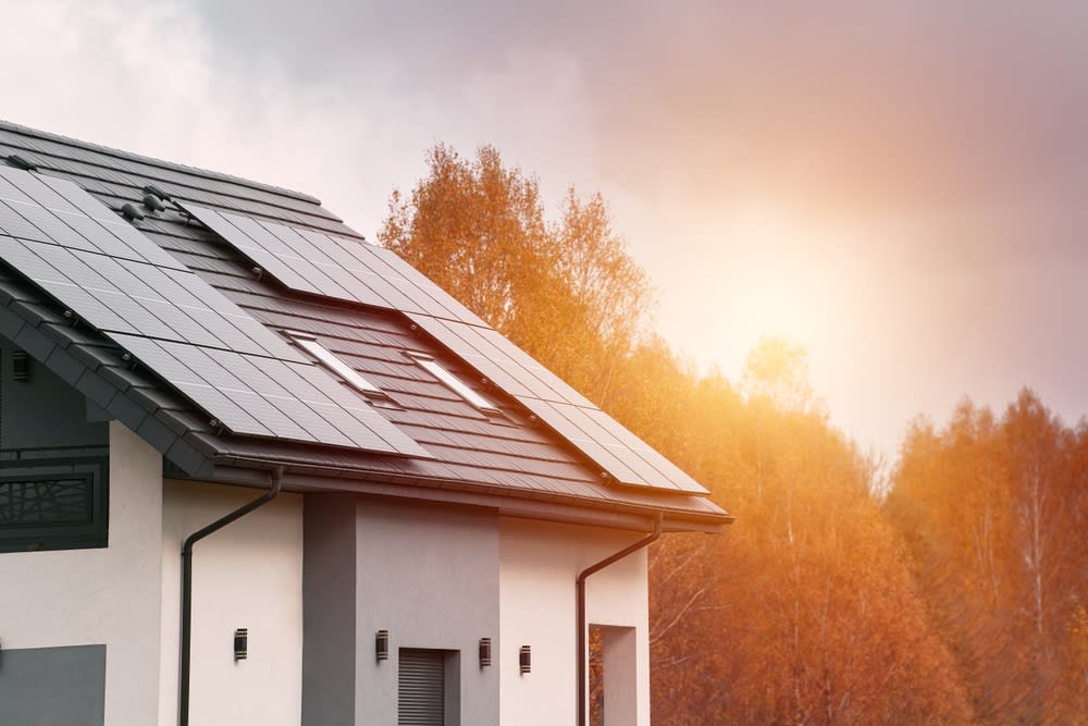 Sustainable Living in the Southern States inception-app-prod/ZWY1YTE5M2QtOTVlYS00ZmE5LWI1ZDMtMzY4MTJhM2I4MjJh/content/2024/08/91c9305b8ee5ac73f725e99ab9e5fa28663e2c4e.jpg