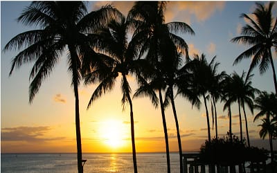 inception-app-prod/ZWY3YmY2ZjEtMTI5OC00NTBkLWFiNjctZjVlOTU3MmZjNzk0/content/2017/08/Land 61-2.png