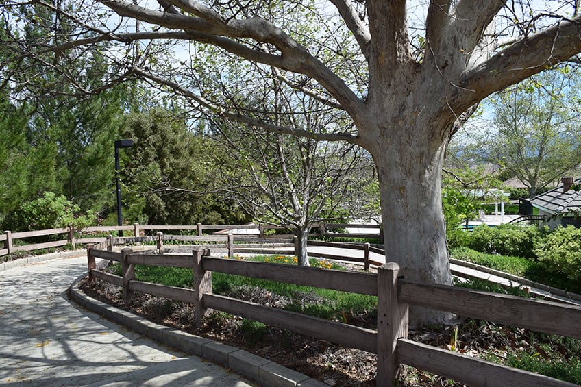 Valencia, CA inception-app-prod/ZjE1NzU2ODYtYTAxZS00MWQ5LWFmMzUtNTlmNjRmZjUyMWIz/content/2017/09/rex-valencia-2.jpg