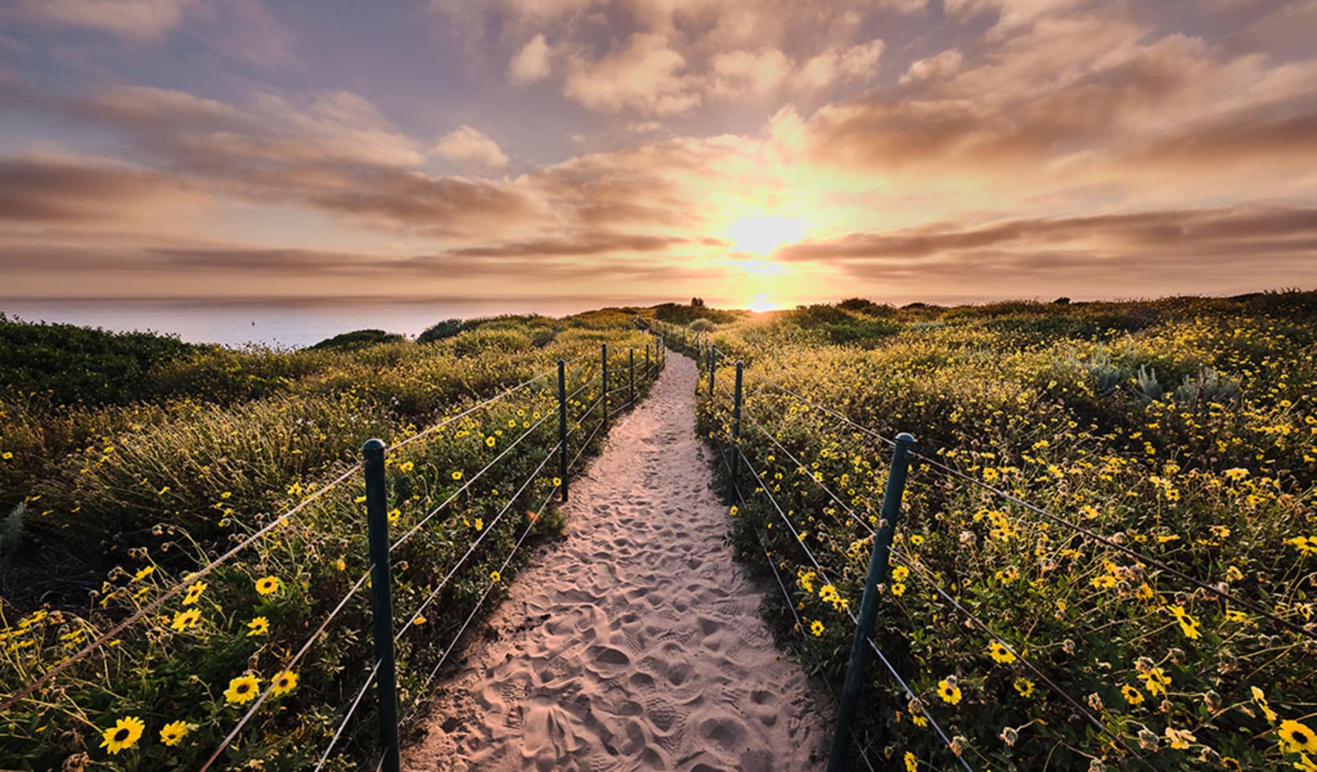 Dana Point inception-app-prod/ZjE2ZjUxM2EtYjQ0MC00NTdkLTg1OGUtMTg0ZDY1ZTZlYmEw/content/2021/03/c005810b382083178a2583d508cd86b51.jpg