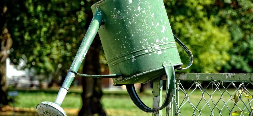 inception-app-prod/ZjIzYTAyYzYtZGIxYy00OTQzLTlhMTYtNzMyODAxMDg4YTkw/content/2017/01/watering-can-930274_1920-1-980x450.jpg
