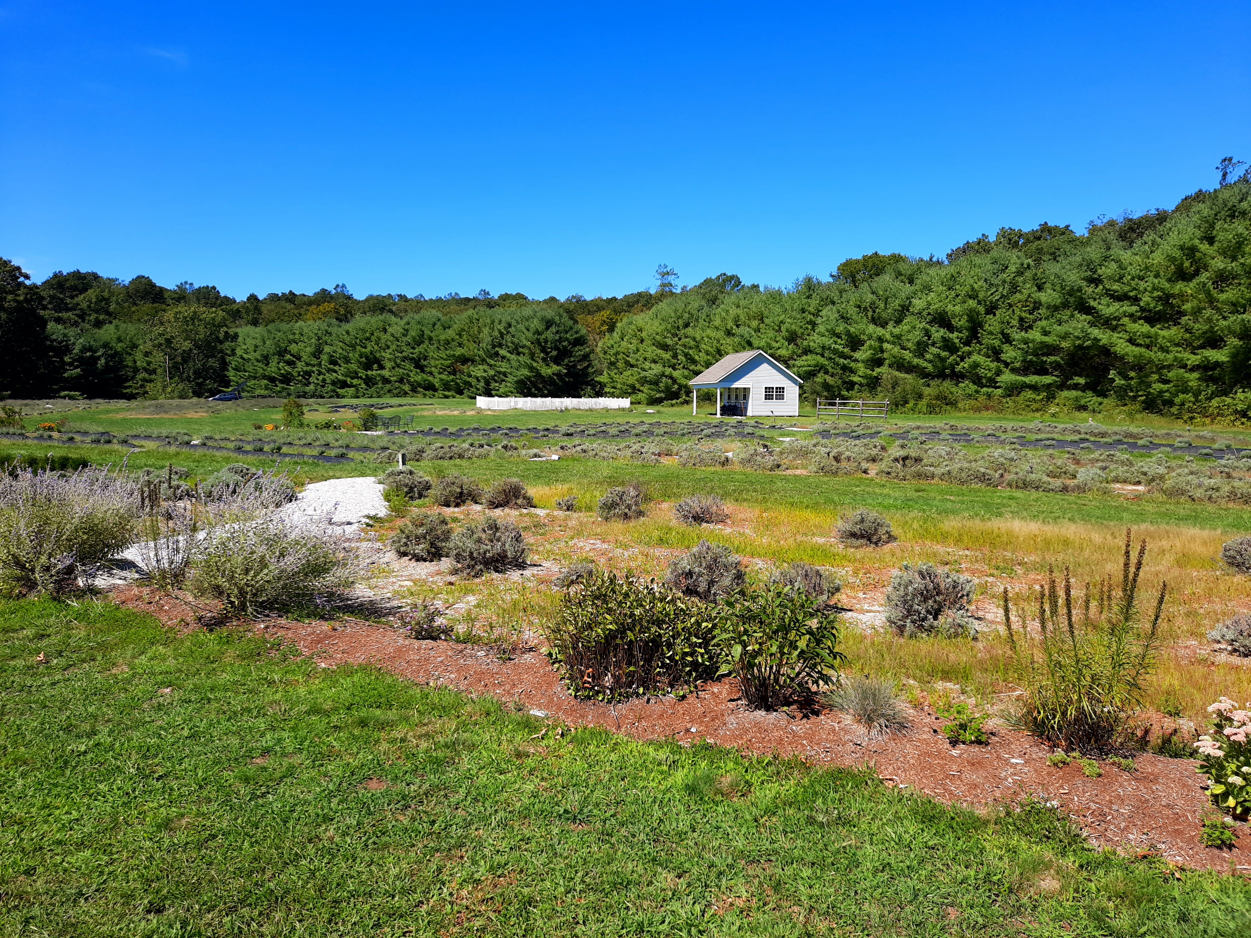 Westbrook, CT - Town Guide inception-app-prod/ZjJmZjM0N2YtMTZjNy00NWRmLWE4OWYtZWFmMTNjYjlmMDlh/content/2024/04/4e7e1adb21955b2b1b57e3544022165f2b9efa6c.jpg