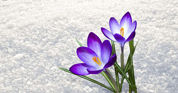 No Matter Which Groundhog You Listen To, You Should Sell Before Spring inception-app-prod/ZjMxNjk0ZDktNGQyMy00M2VkLTg2NGQtNWZiYmNmN2E0MWQx/content/2018/04/Groundhogs-Day-KCM-035003.jpg