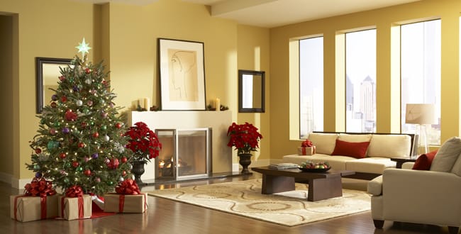 inception-app-prod/ZjMxNjk0ZDktNGQyMy00M2VkLTg2NGQtNWZiYmNmN2E0MWQx/content/2018/04/christmasdecoration-234733.jpg