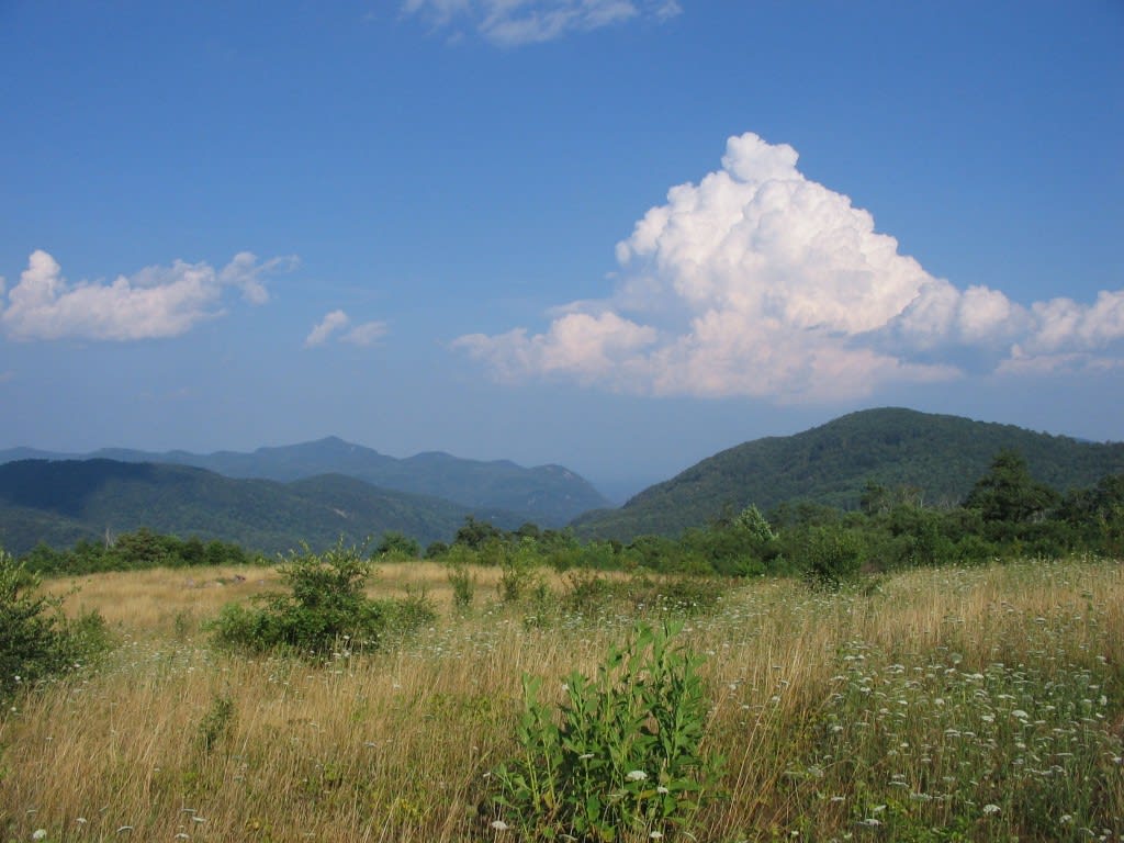 Fairview inception-app-prod/ZjMxNjk0ZDktNGQyMy00M2VkLTg2NGQtNWZiYmNmN2E0MWQx/content/2018/04/fairview-2.jpg