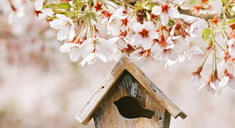 Data Says April is the Best Month to List Your Home for Sale inception-app-prod/ZjMxNjk0ZDktNGQyMy00M2VkLTg2NGQtNWZiYmNmN2E0MWQx/content/2019/05/april-2.jpg