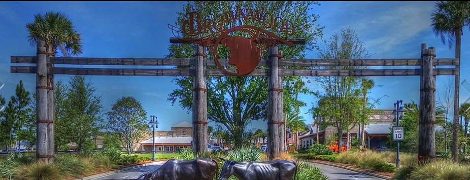 The Villages inception-app-prod/ZjY4MWUwNTktYTBhYi00OWRkLWFmZmUtNWEwNWYyMGMzZDBj/content/2017/12/Brownwood.jpg