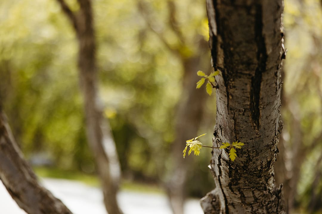 Your Modern Mountain Home at 3116 E Carrigan Canyon Dr | $950,000 inception-app-prod/ZjZiZmM3MTAtMGIxOS00NGY2LWJhOGYtOWM4NWZiNDRhOTcy/content/2022/05/87f6ec752105a4332855a2a590a20dce41716b16.jpg