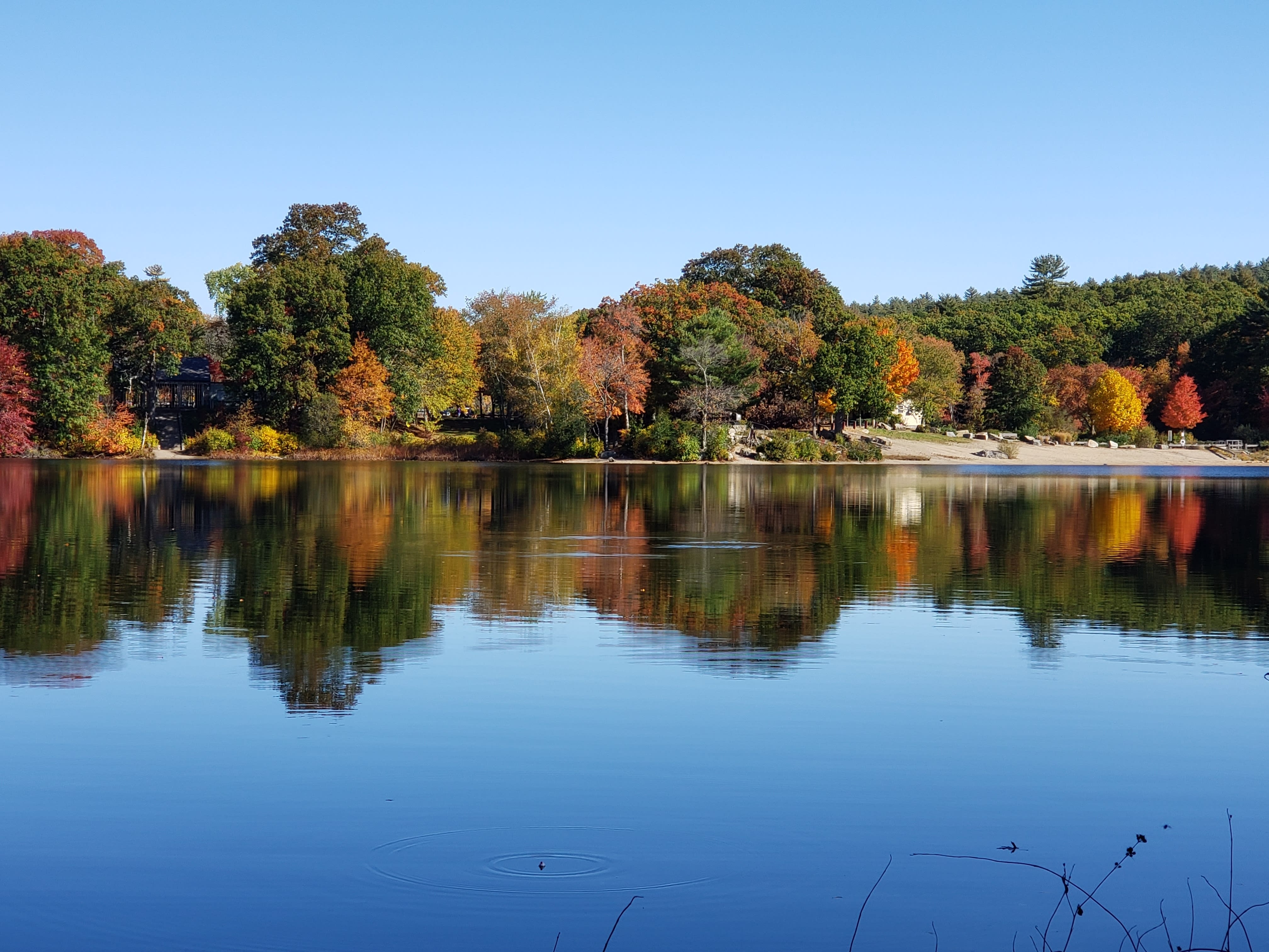 Milton inception-app-prod/ZjZlYzc2NDEtNmZlYi00ODZmLWFkNzctMjU4Njc0MGYwMWM0/content/2023/04/e3b84438a27d026201889478b7657958730a294c.jpg