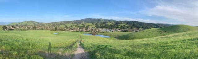 Corral de Tierra inception-app-prod/ZjcwNzRmNjctYzM5ZS00OTc5LTk1NzItMTRmNmE4NzQ5ZDA1/content/2019/07/Buckeye.jpg