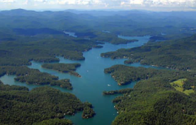 <p>LYNDA HESTER</p> inception-app-prod/Zjg2Mjc5Y2ItODJlYy00M2FhLThhOTUtNDUyZTFhMmJlNjhm/content/2024/12/c39fc2aa4000658c9bc973e2fc084a3c657865fc.png