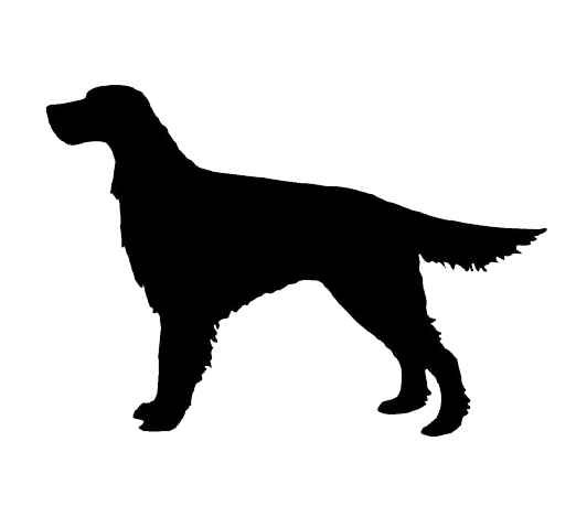 Jon Lindquist inception-app-prod/ZmMyOGYyYjMtMDc3Ni00OGIwLTg0ZDEtNTI1ODJlY2MxMDY5/content/2022/01/319c88b4a6c01ff2bd57931ce8725dc85a66d2bf.png