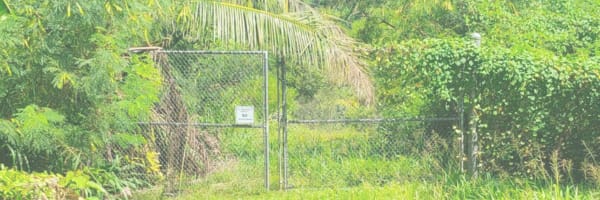 Benefits of Owning a Land in Real Estate inception-app-prod/ZmVjN2RiNTctOTQ2Ny00ZmI5LTliMjItMmM5MmY1MWEyOTNh/content/2024/02/c22fbcfcd834fa549b8f86462f7a267ee263a4d0.png