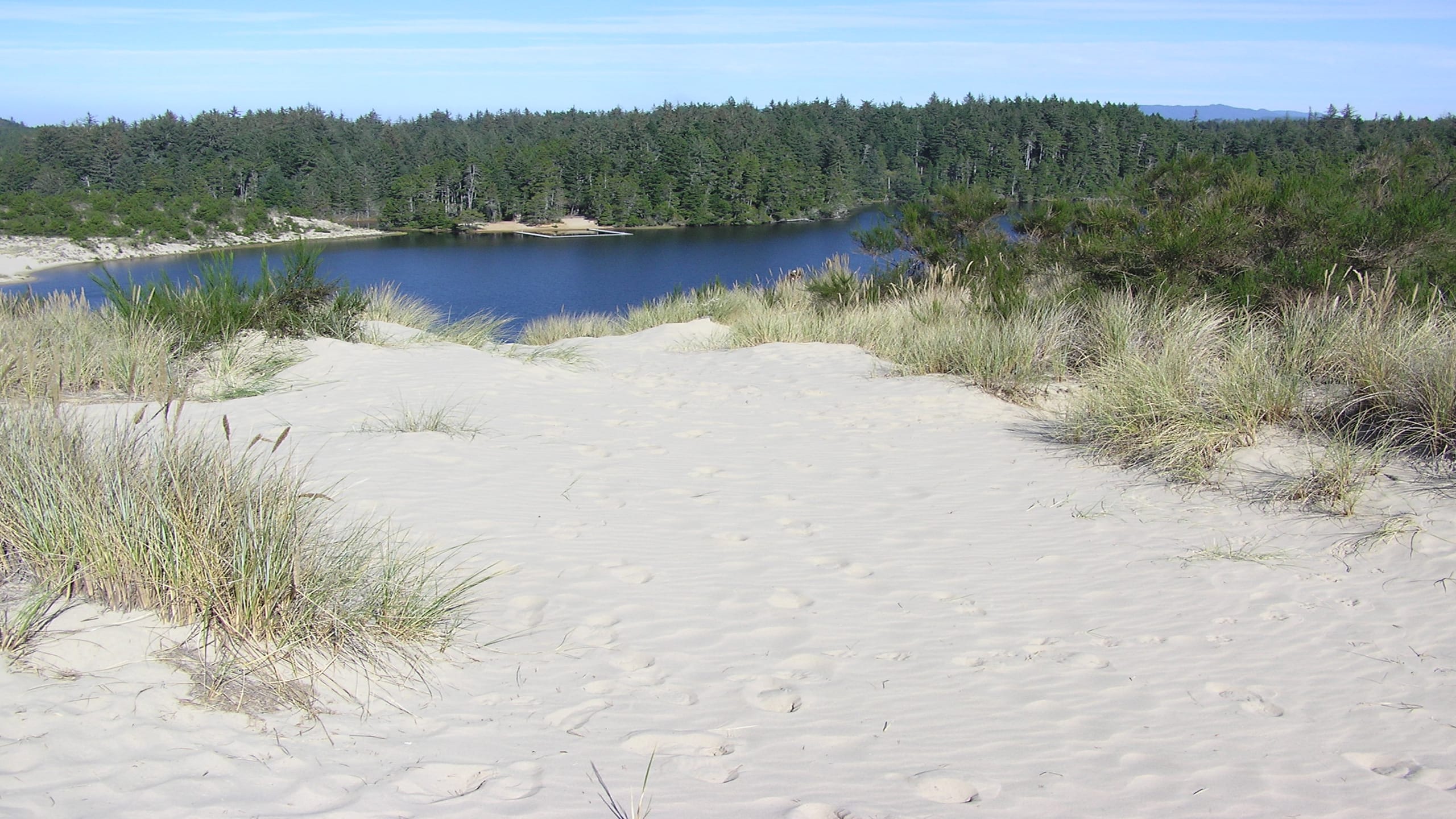 Florence Oregon Real Estate