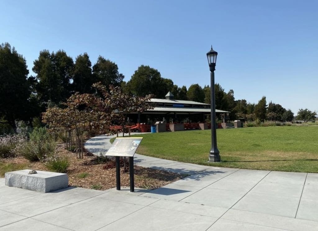 Ever since I came to Alameda, I have been in love with our parks! inception-app-prod/NmM0OTY5ZGQtNmNiMy00NWQ2LWJjYzEtMWQ3YjRmNDE4ZmFm/content/2022/08/1c08dd3d070fc87e80bf1d407b5218bdf0a3fab6.jpeg